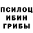 Псилоцибиновые грибы Cubensis Toca Stories