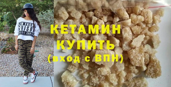 хмурый Аркадак
