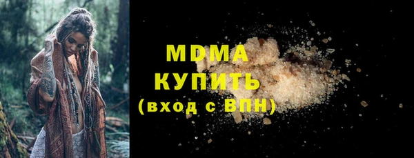 хмурый Аркадак