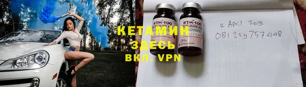 хмурый Аркадак