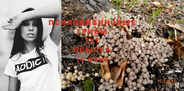 амф Баксан