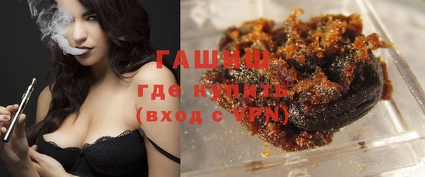 хмурый Аркадак