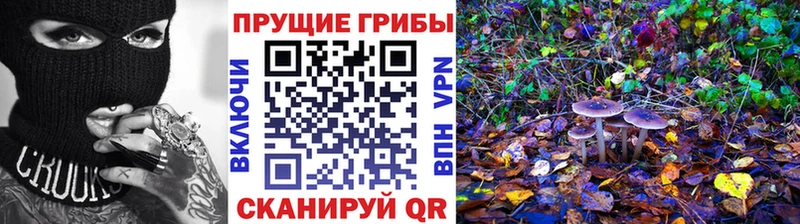 shop клад  Новоаннинский  Псилоцибиновые грибы Psilocybine cubensis 